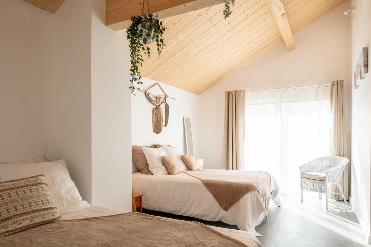 Ted Surf House Bed and Breakfast Capbreton Exteriör bild